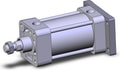 NCA1G325-0300N
