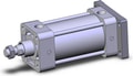 NCA1G325-0350