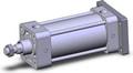 NCA1G325-0450