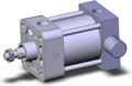 NCA1J250-0100