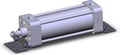 NCA1L250-0500