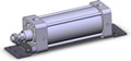 NCA1L325-0600