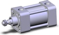 NCA1R200-0100N-XC6
