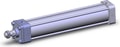 NCA1R250-1200-XB5