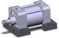 NCA1S250-0100