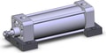 NCA1S250-0500N