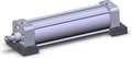 NCA1S250-0800