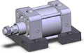NCA1S325-0100
