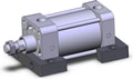 NCA1S325-0250