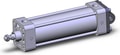 NCA1X250-0600-XC6