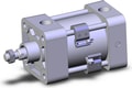 NCDA1B250-0100H-M9PAVZ