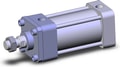 NCDA1B250-0250N-XB5