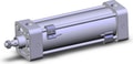 NCDA1B250-0600-M9PSAPC