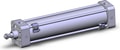 NCDA1B250-1000-M9BAVSBPC-XC6
