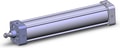 NCDA1B250-1200-XC35