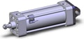 NCDA1C250-0500N-M9PWMAPCS