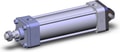 NCDA1C250-0600-XB5