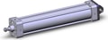NCDA1C250-1200