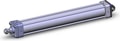 NCDA1C250-1800-XB5