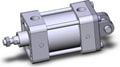 NCDA1D250-0100-X130US