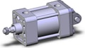 NCDA1D250-0100N