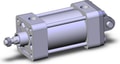 NCDA1D250-0200N