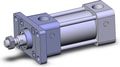NCDA1F150-0100-XC35