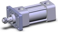 NCDA1F150-0100N