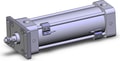 NCDA1F250-0600-M9PWSAPC