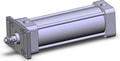 NCDA1F250-0600N-XC22