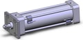 NCDA1F250-0700N-M9BZ