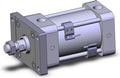 NCDA1F325-0250-M9BW
