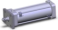 NCDA1F400-1000N-M9BWMAPC