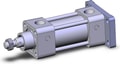 NCDA1G150-0100