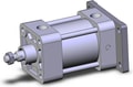 NCDA1G250-0100H