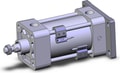 NCDA1G250-0200H-M9PMAPC