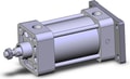 NCDA1G250-0200H