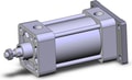 NCDA1G250-0200N