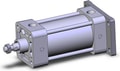 NCDA1G250-0250