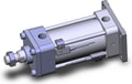 NCDA1G250-0300-F5PL-XB5
