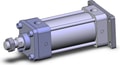 NCDA1G250-0300-XB5
