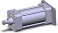 NCDA1G250-0300N