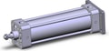 NCDA1G250-0700