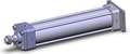 NCDA1G250-1000-XB5
