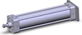 NCDA1G250-1000