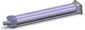 NCDA1G250-1800-XB5