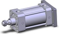 NCDA1G325-0300