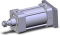 NCDA1G325-0300H