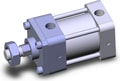 NCDA1KB250-0100-X119US