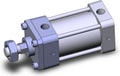 NCDA1KB250-0200-X119US